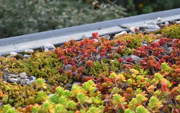 the cost of Tumby green roof installation