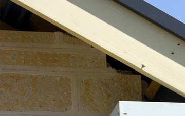 soffit repair Tumby