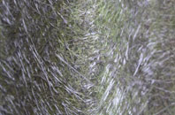 Tumby fibreglass roof work